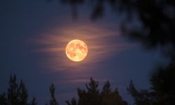 خرافة أم حقيقة؟.. العلم يفكك لغز تأثير القمر على النوم والسلوك